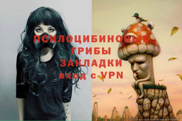 mix Алексин