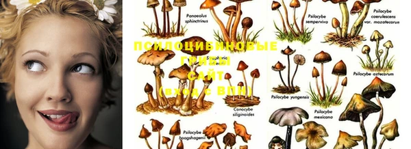 марки nbome Алексеевка