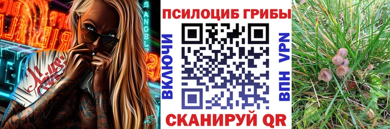 Галлюциногенные грибы ЛСД  цены наркотик  Калтан 